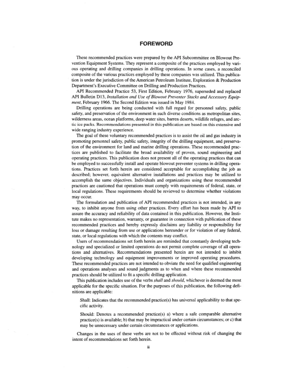 API RP 53 pdf