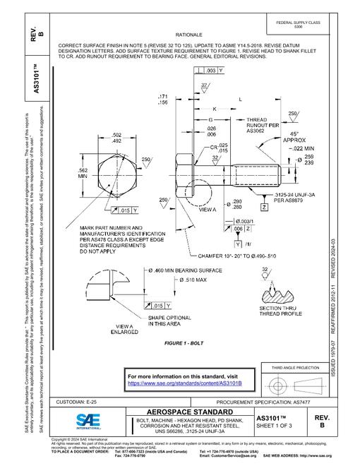 SAE AS3101B pdf